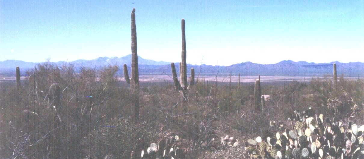 desert-view-2.jpg